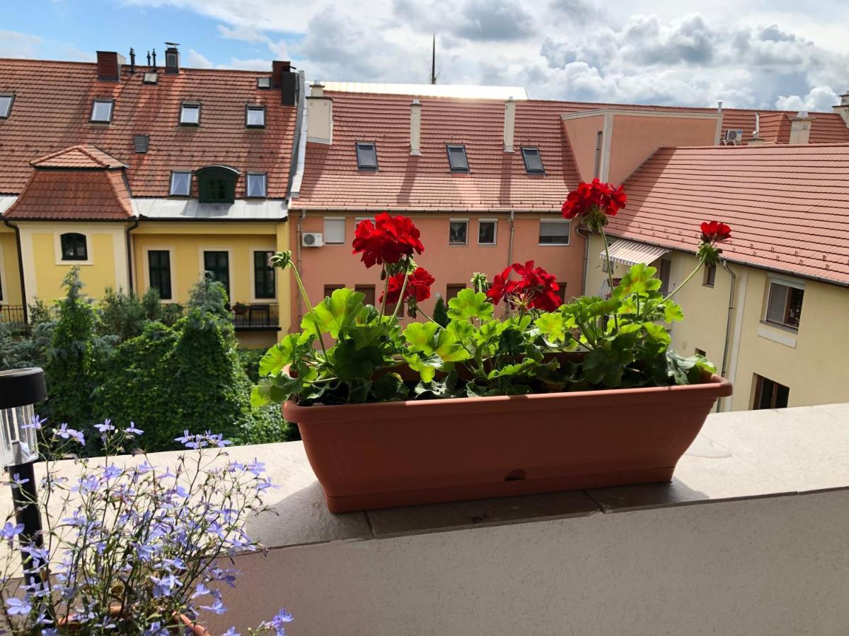 Capri Apartman Eger Exterior foto